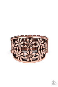 Crazy About Daisies - Copper